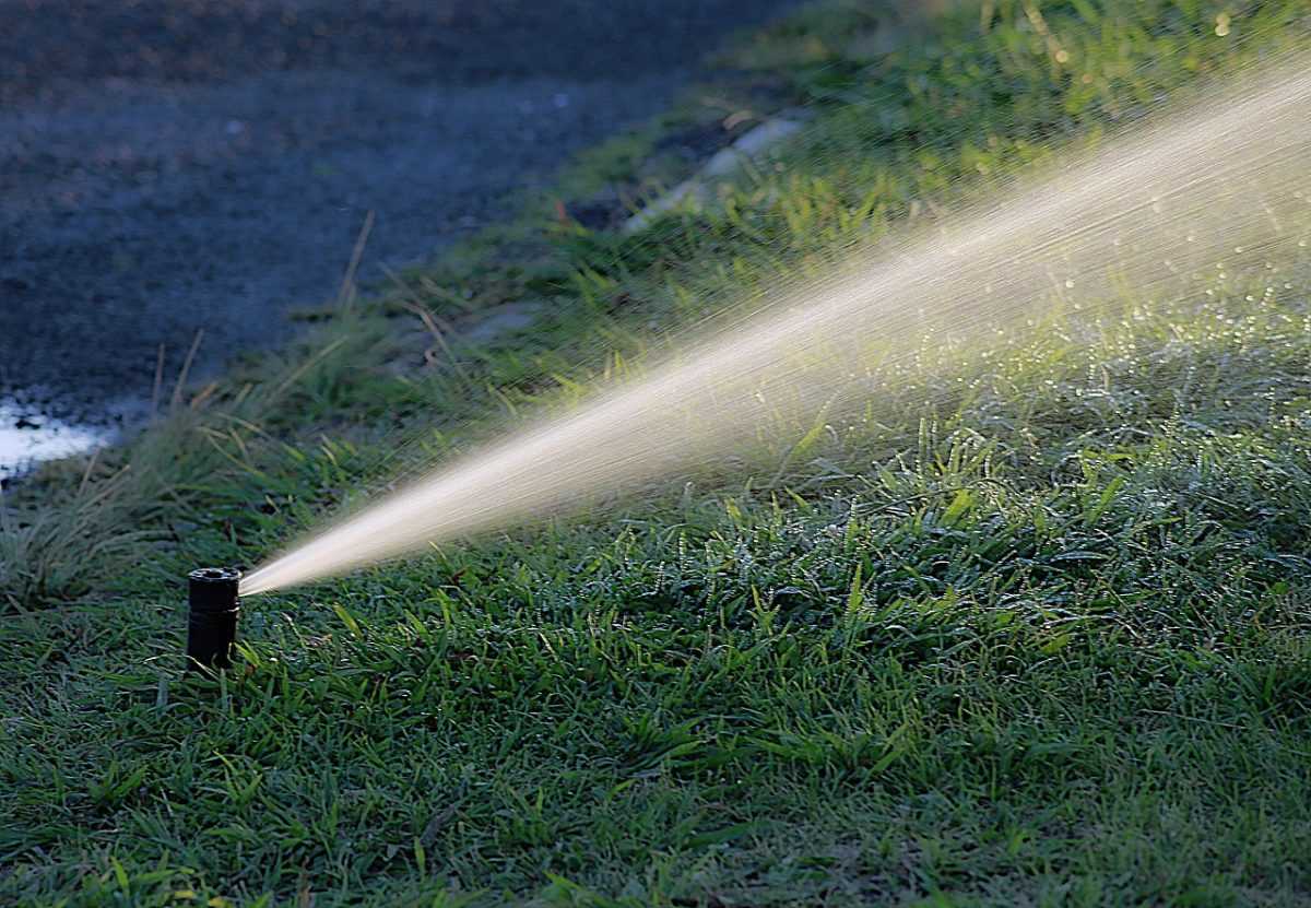 water, watering, garden, summer, nature, irrigation