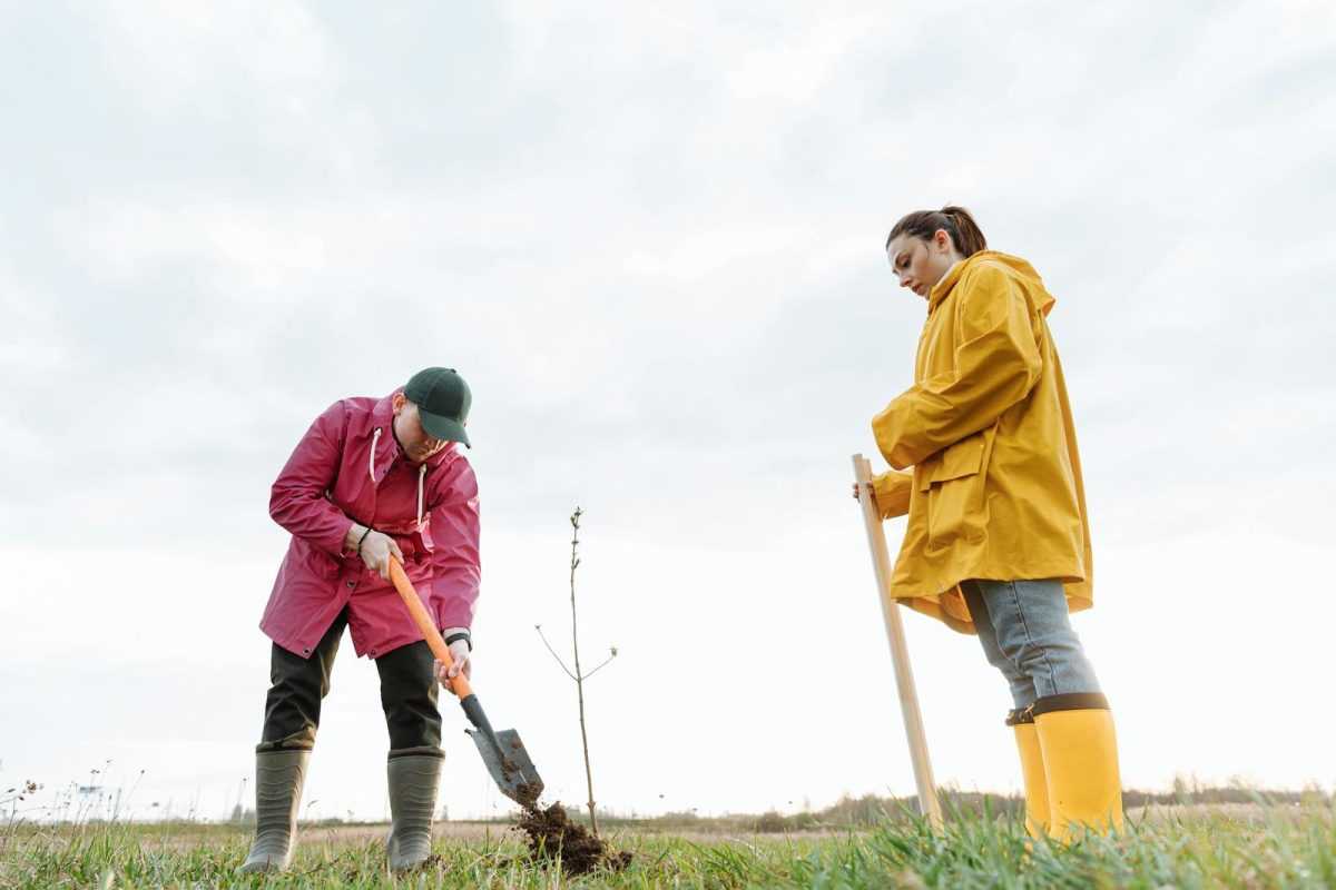 Two individuals planting a tree on a cloudy day, illustrating teamwork and environmental efforts.