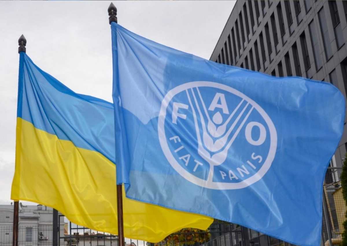 ФАО та Україна посилюють співпрацю
