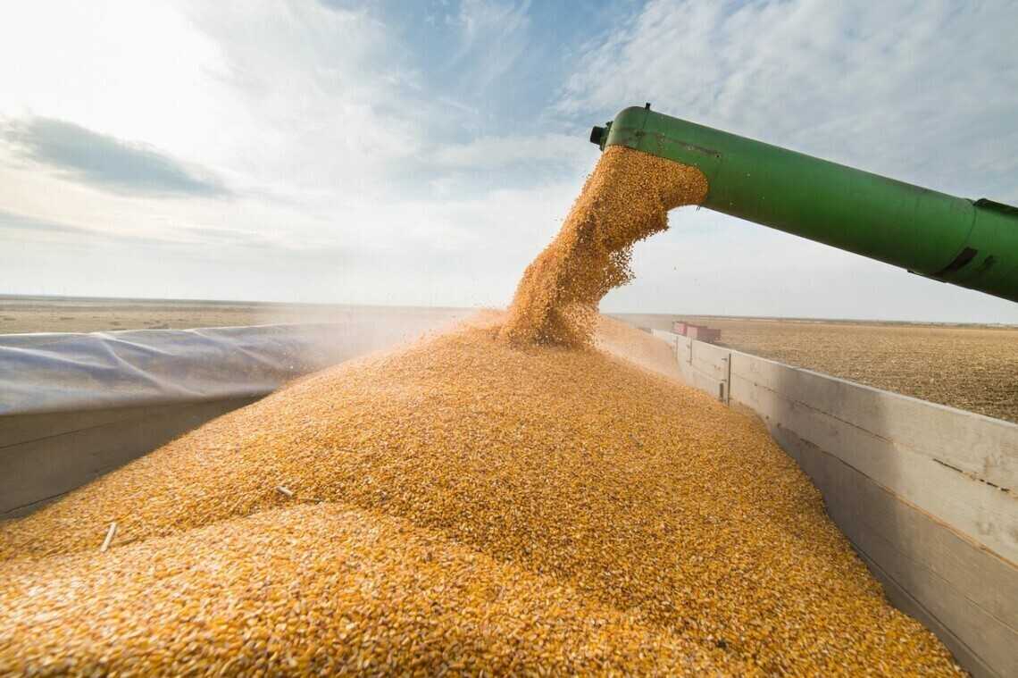 Ціни на зерно в Україні