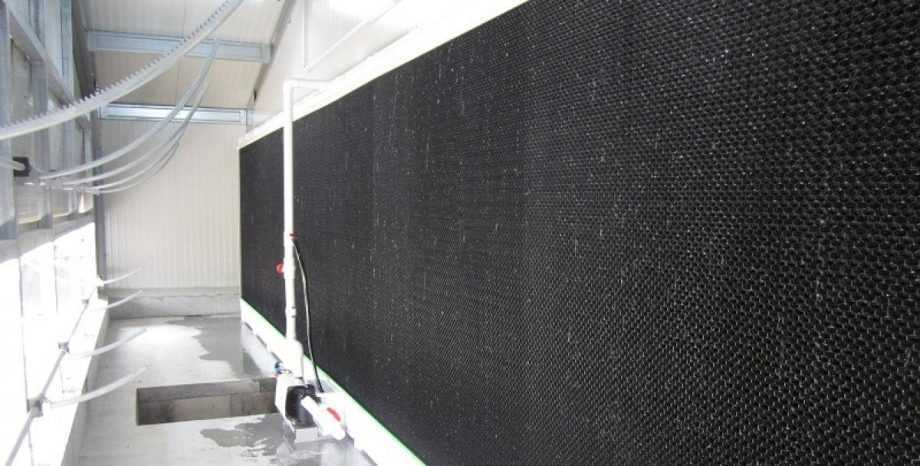 Pad cooling і туманоутворення: що обрати