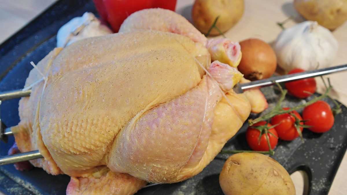 chicken, roast chicken, grilled chicken, poultry, raw, bio, fresh, grilling, pike, seasoning, salt, pepper, onion, potato, preparation, food, mark, farmer, food chain, meal, chicken, chicken, chicken, chicken, chicken, roast chicken, roast chicken, roast chicken, roast chicken, roast chicken, grilled chicken, grilled chicken, grilled chicken