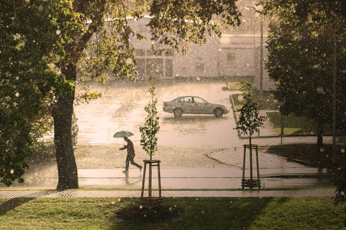man, umbrella, rain, hail, storm, nature, run, thunderstorm, precipitate, water, climate, road, street, urban, city