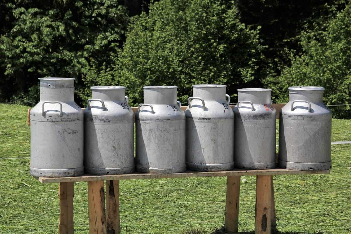 milk, milk cans, can, vessel, agriculture, cow's milk, milk can, farm yard, dairy farming, food, dairy, fresh, village, rural, metal, tyrol, bavaria, farmer, collection point, milk can, milk can, milk can, dairy farming, dairy farming, dairy farming, dairy farming, dairy farming, dairy, dairy
