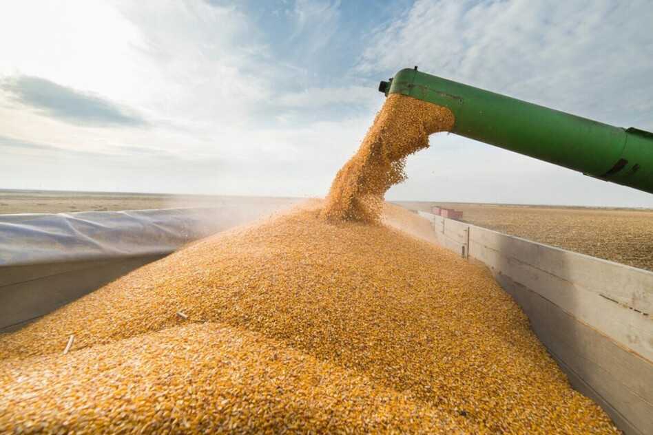 Українську агропродукцію найбільше купують Іспанія, Нідерланди, Італія та Німеччина