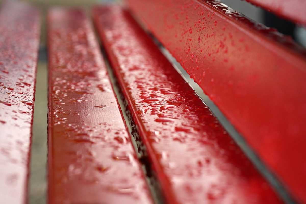 red, rain, mood, bench, wet, drops, nature, water
