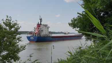 Низький рівень води на Дунаї зриває поставки зерна