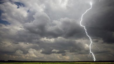 Дощі та грози: якою буде погода в Україні 17 липня