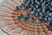 blueberries, bilberry, berries, blueberry, fruit, nature, blue fruit, american blueberries