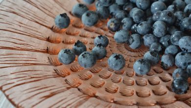 blueberries, bilberry, berries, blueberry, fruit, nature, blue fruit, american blueberries