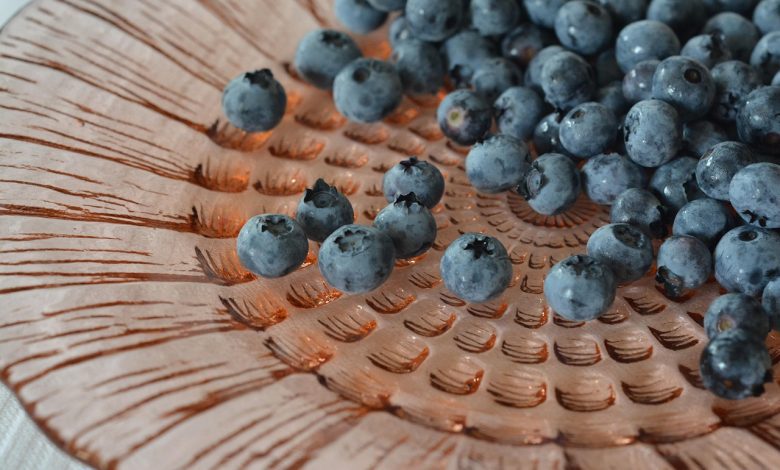 blueberries, bilberry, berries, blueberry, fruit, nature, blue fruit, american blueberries