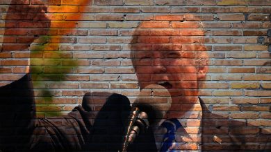 trump, president, america, politics, government, donald, presidential, republican, politician, trump, trump, trump, trump, trump