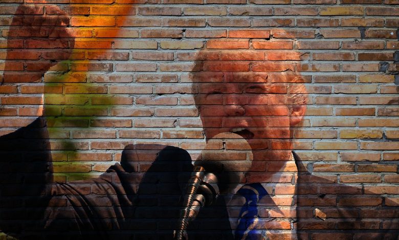 trump, president, america, politics, government, donald, presidential, republican, politician, trump, trump, trump, trump, trump