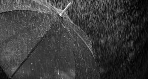 rain, umbrella, protection, water, wet, nature, drops, raindrop, weather, thunderstorm