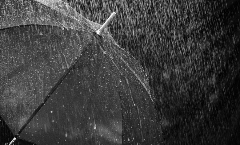 rain, umbrella, protection, water, wet, nature, drops, raindrop, weather, thunderstorm