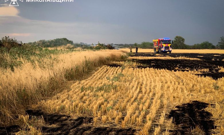 Стихійна пожежа на Миколаївщині знищила 70 га пшениці