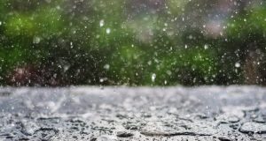 Погода 16 липня: спека до +37°C та дощі на заході України