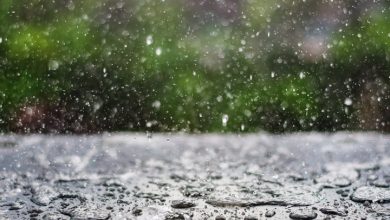 Погода 16 липня: спека до +37°C та дощі на заході України