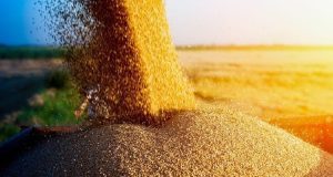 Польща погрожує новими обмеженнями на українське зерно