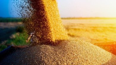 Польща погрожує новими обмеженнями на українське зерно