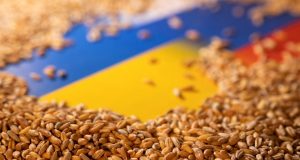 Експорт зерна з України впав у 3 рази