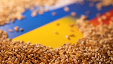 Експорт зерна з України впав у 3 рази