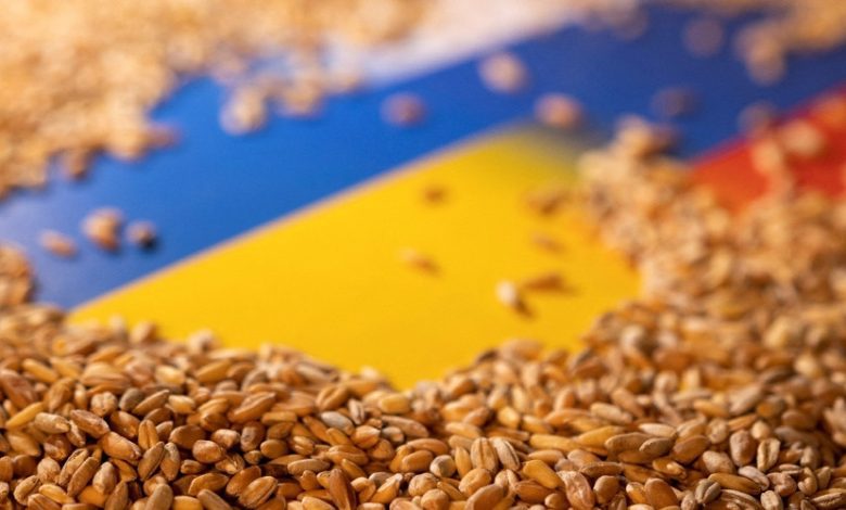 Експорт зерна з України впав у 3 рази