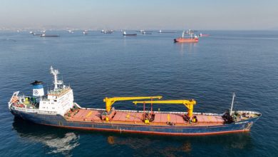 Український морський коридор перевіз 130 млн тонн вантажів