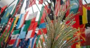 a bunch of flags hanging from the side of a building
