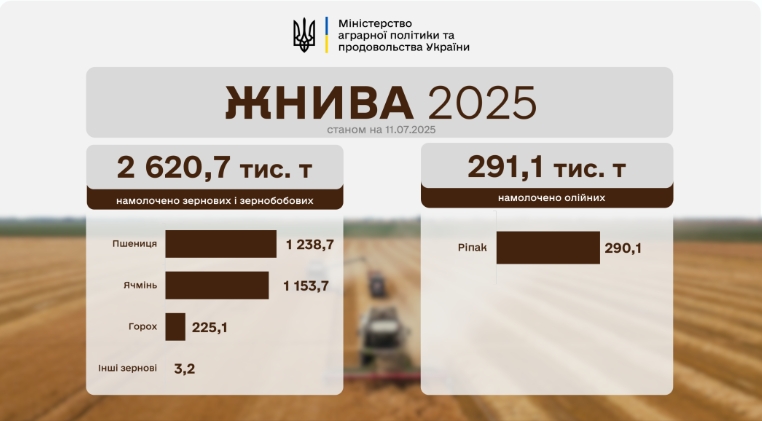 Україна зібрала понад 2,6 млн тонн ранніх зернових