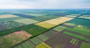 Ціна гектара в Україні зросла на 60% за 4 роки