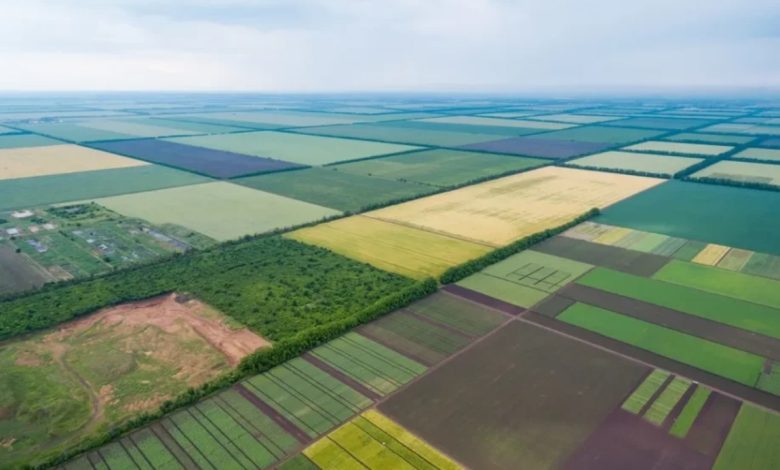 Ціна гектара в Україні зросла на 60% за 4 роки