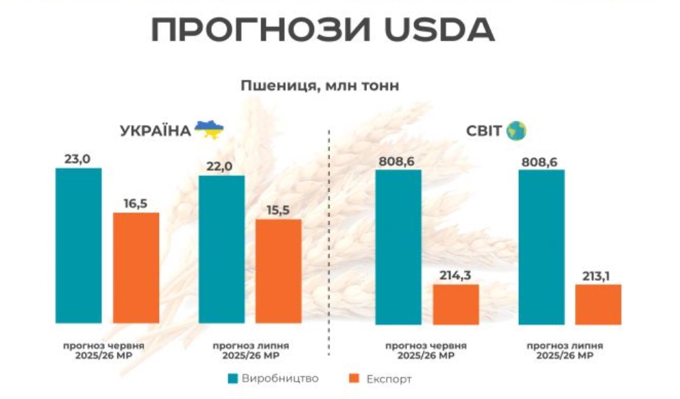 USDA знизило прогноз врожаю української пшениці на 1 млн тонн: що це означає для ринку