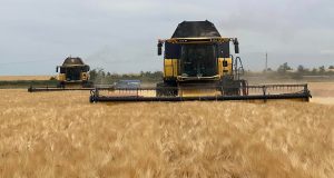 На Сумщині стартували жнива ранніх зернових