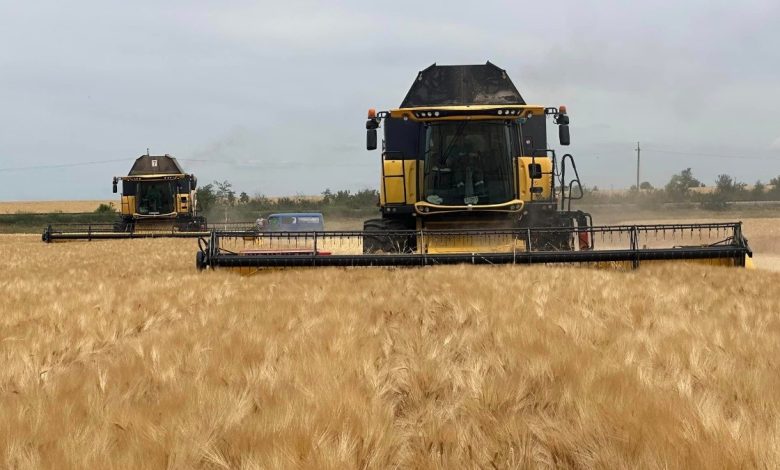 На Сумщині стартували жнива ранніх зернових