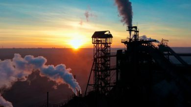 Переробна промисловість стала головним донором держбюджету України за сім місяців 2025 року