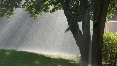 Погода в Україні 27 серпня: де очікуються дощі
