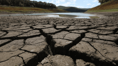 В Україні – рекордно малі запаси води у водосховищах