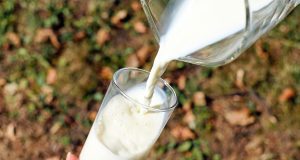 glass, milk, pour, pouring, pouring milk, cow's milk, drink, fresh milk, pitcher, glass of milk, milk, milk, milk, milk, milk