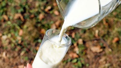glass, milk, pour, pouring, pouring milk, cow's milk, drink, fresh milk, pitcher, glass of milk, milk, milk, milk, milk, milk