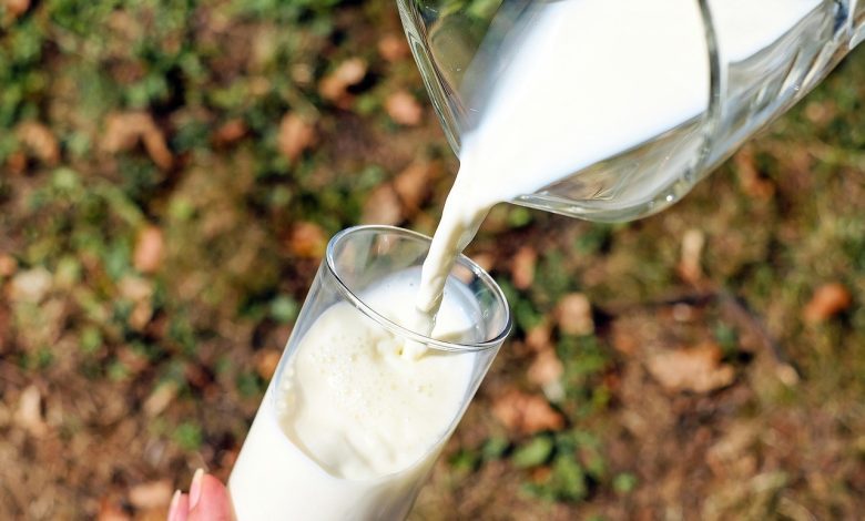 glass, milk, pour, pouring, pouring milk, cow's milk, drink, fresh milk, pitcher, glass of milk, milk, milk, milk, milk, milk