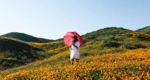 Спека до +34°C та місцеві дощі: якою буде погода в Україні 5 серпня