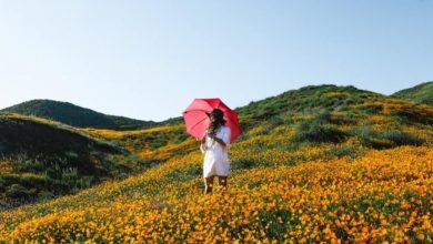 Спека до +34°C та місцеві дощі: якою буде погода в Україні 5 серпня