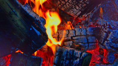 fire, campfire, burning, burn, flames, wood, fiery, glow, firewood, coal, embers, hot, fire, fire, fire, fire, fire, coal, coal, coal