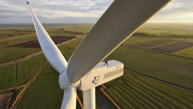Німецька Notus Energy збудує вітропарк на 400 МВт під Києвом
