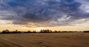 agriculture, europe, poland, farm, nature, farmland, land, agro, field, aerial, drone, wheat, farming, sunset, crop, countryside, rural, natural, plant, ecology, organic, brown wheat