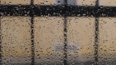 rain, droplets, drops, window, damp, liquid, gray, nature, storm, texture, weather, rains