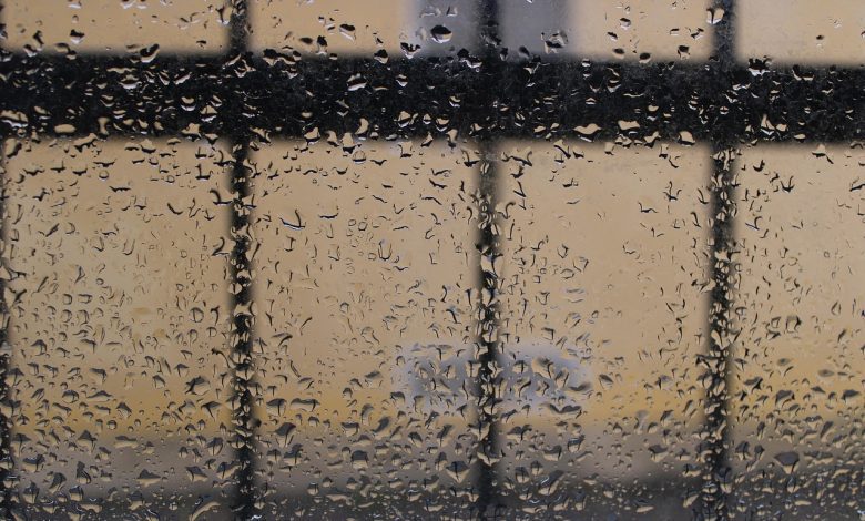 rain, droplets, drops, window, damp, liquid, gray, nature, storm, texture, weather, rains