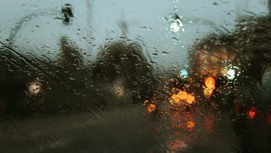 windshield, nature, rain, glass, surface, raindrops, raining, glass window, wet, moist, splash, water, drops, liquid, window, droplets