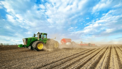 Sense Bank та Timac Agro Ukraine запускають унікальну кредитну програму для аграріїв